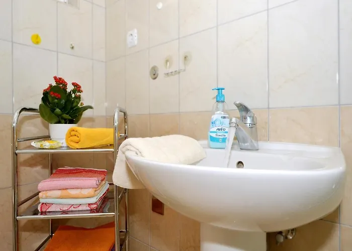 Zarkovic Apartament *